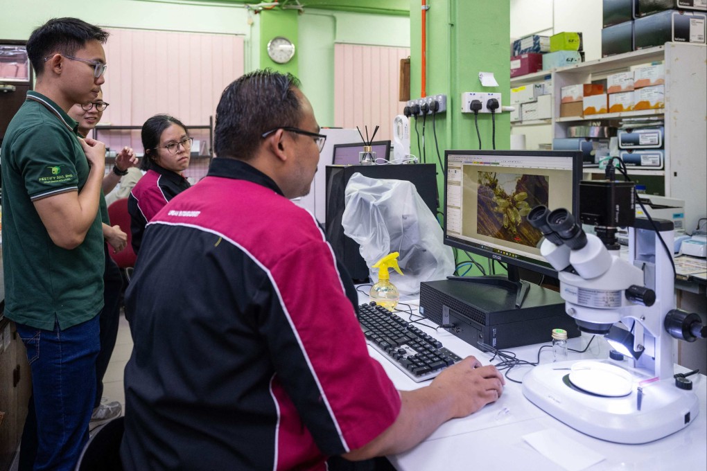 Entomologist Abdul Hafiz Ab Majid (right) and his team observe bedbug eggs at a laboratory of the Science University of Malaysia in George Town, Penang. Photo: AFP