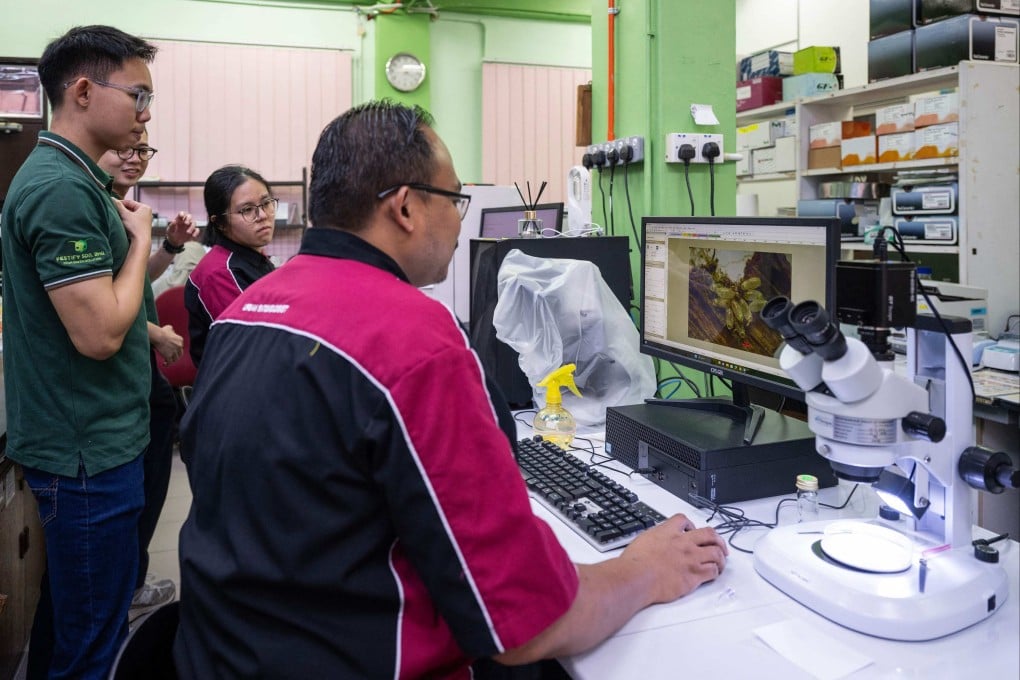 Entomologist Abdul Hafiz Ab Majid (right) and his team observe bedbug eggs at a laboratory of the Science University of Malaysia in George Town, Penang. Photo: AFP