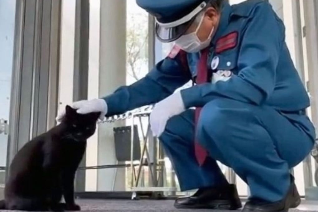 A special bond between a museum security guard in Japan and a black cat, who visited only when the guard was on duty, has caught the public’s attention. Photo: X.com