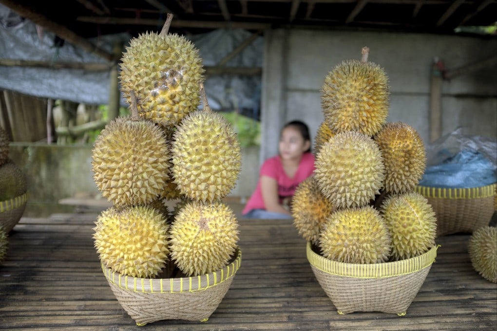 Durian for sale at a roadside stall in Lombok, Indonesia. Photo: Getty Images