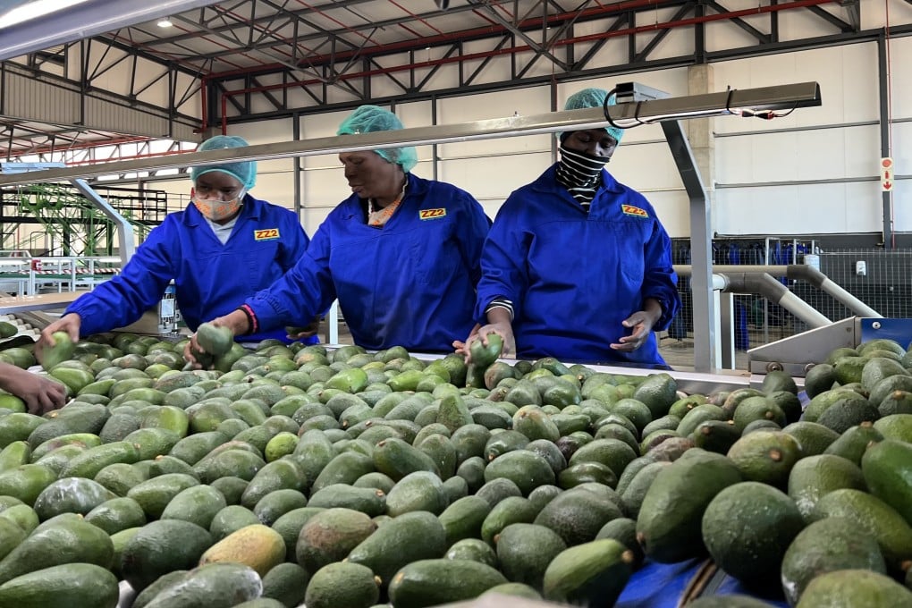 پرتویا در تلاش است سرمایه‌گذاری و دسترسی به بازارهای جدید را برای کالاهای آفریقای جنوبی، به‌ویژه در بخش‌های تولیدی و کشاورزی تأمین کند. عکس: چین نیوز سرویس از طریق گتی‌ایمج