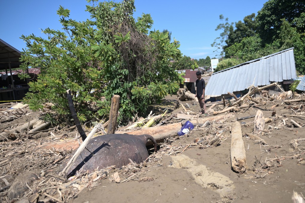 A man in Aceh province in Indonesia looks at the body of an elephant swept away by devastating flash floods and partially buried in the mud. Photo: AP
