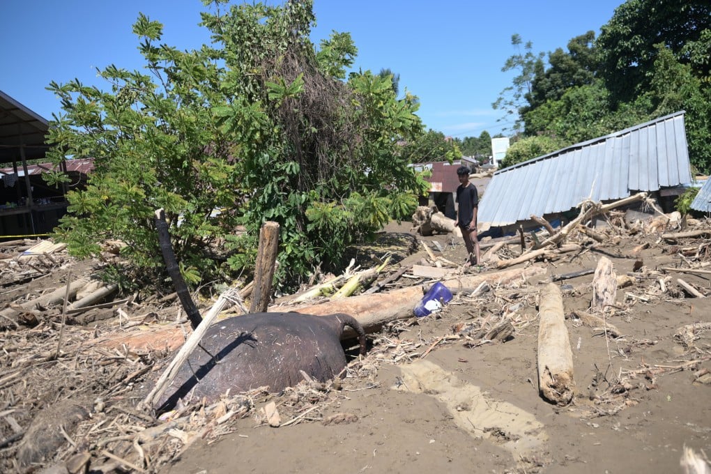 A man in Aceh province in Indonesia looks at the body of an elephant swept away by devastating flash floods and partially buried in the mud. Photo: AP