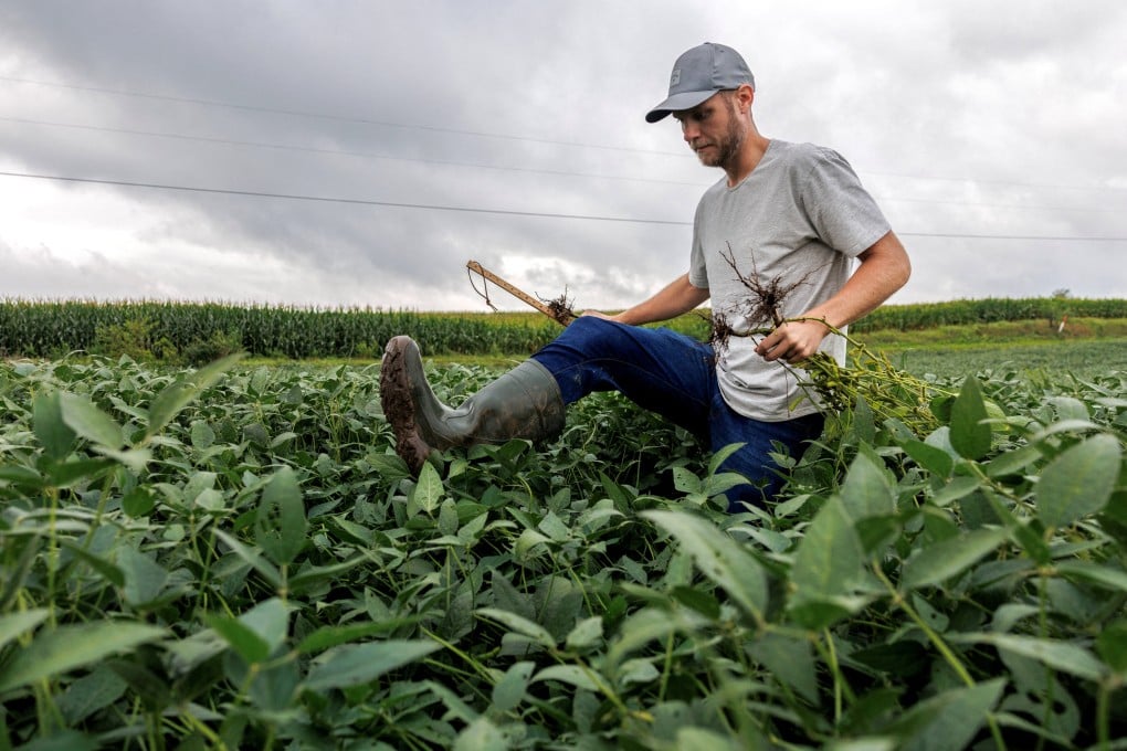 A crop scout collects soybean samples in the Midwestern US in August. American soybean farmers have been struggling for years due to various factors, but US President Donald Trump’s trade war has pushed many to breaking point. Photo: Reuters