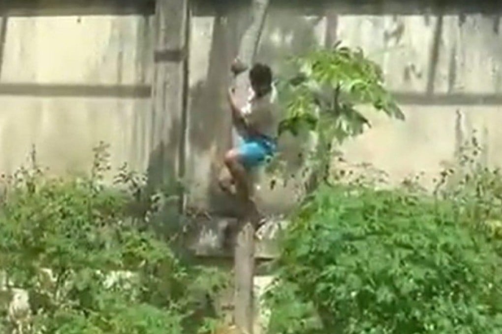 Viral videos of the attack showed zoo visitors watch in shock as the teen climbed down a tree into the enclosure. Photo: X @CPreparado