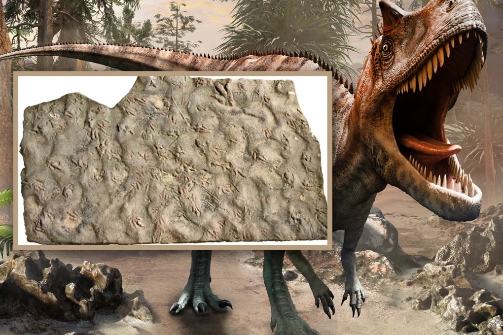 Two brothers in China discover that flat rocks they had used as stepping stones for nearly 20 years are, in fact, 190 million-year-old dinosaur footprint fossils. Photo: SCMP composite/Shutterstock/QQ.com