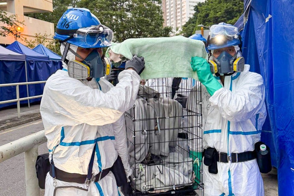 The DVIU rescues pets trapped in the flats. Photo: Handout