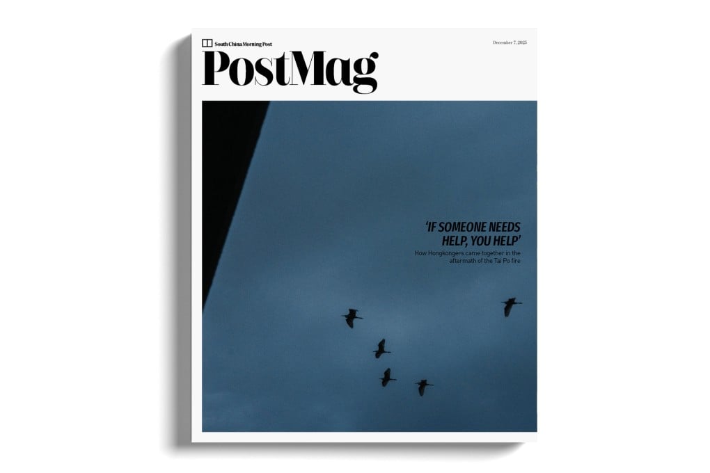 Egrets fly over Tai Po’s Wang Fuk Court housing estate on November 30 after the horrific fire that brought tragedy to Hong Kong. Photo: Jocelyn Tam