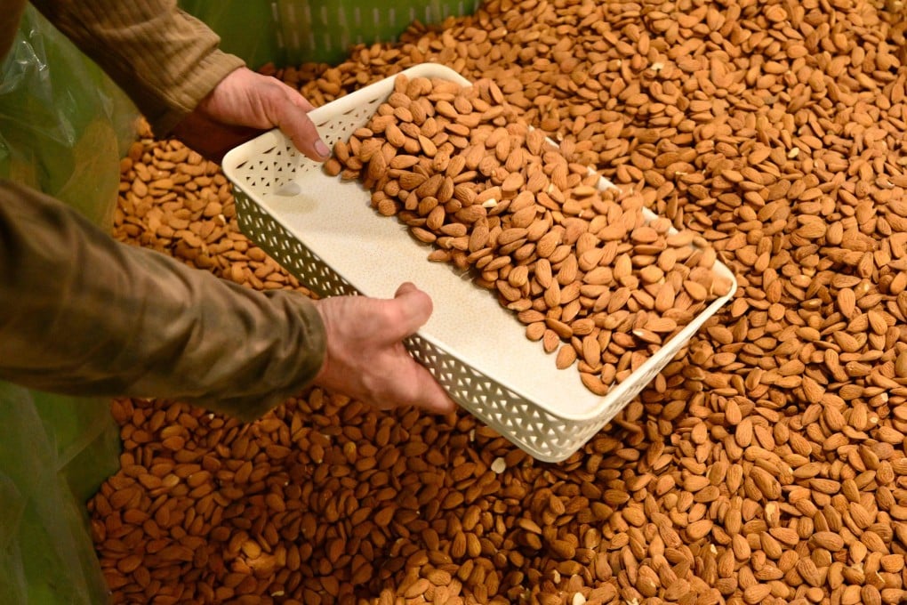 An employee checks the quality of almonds at La Compagnie des Amandes’ factory in Brignoles, France, in November 2025. Many French artisans are reviving Provence’s almond-growing heritage. Photo: AFP