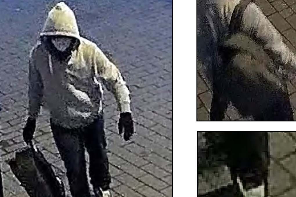 Images from an FBI poster seeking a suspect who allegedly placed pipe bombs in Washington on Jan. 6, 2021. File photo: FBI via AP