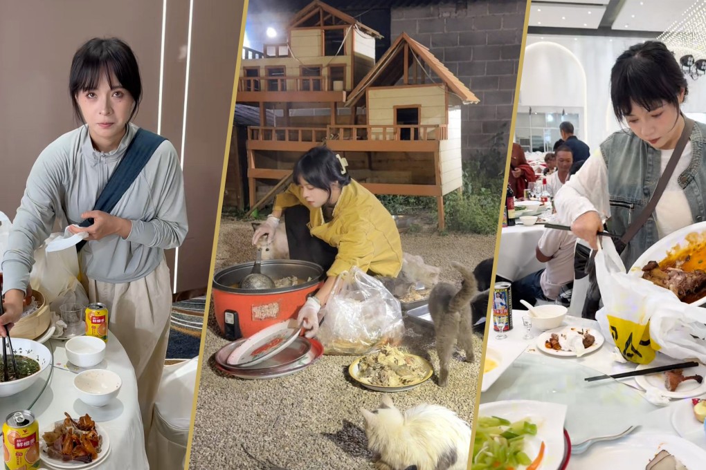 A young woman with social anxiety moved many by “crashing” 100 weddings to collect leftovers for 120 stray cats, inspiring a following of 1.5 million as she shared her journey. Photo: Douyin
