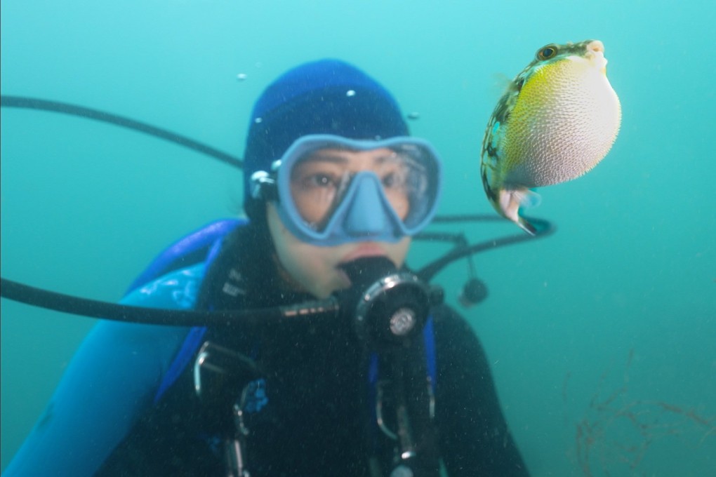 Diver and environmentalist Hidy Yu in a still from the Hong Kong documentary Never Too Late. Photo: Edko Films