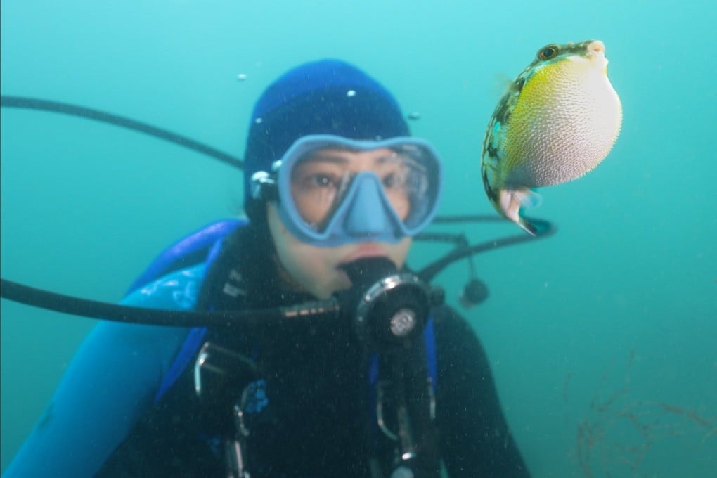 Diver and environmentalist Hidy Yu in a still from the Hong Kong documentary Never Too Late. Photo: Edko Films