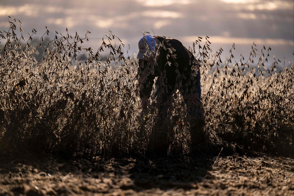 A soybean farmer inspects his harvest at his family’s farm in Maryland in October. US farmers fear that the government’s new US$12 billion farm aid package will not provide enough funding. Photo: AFP