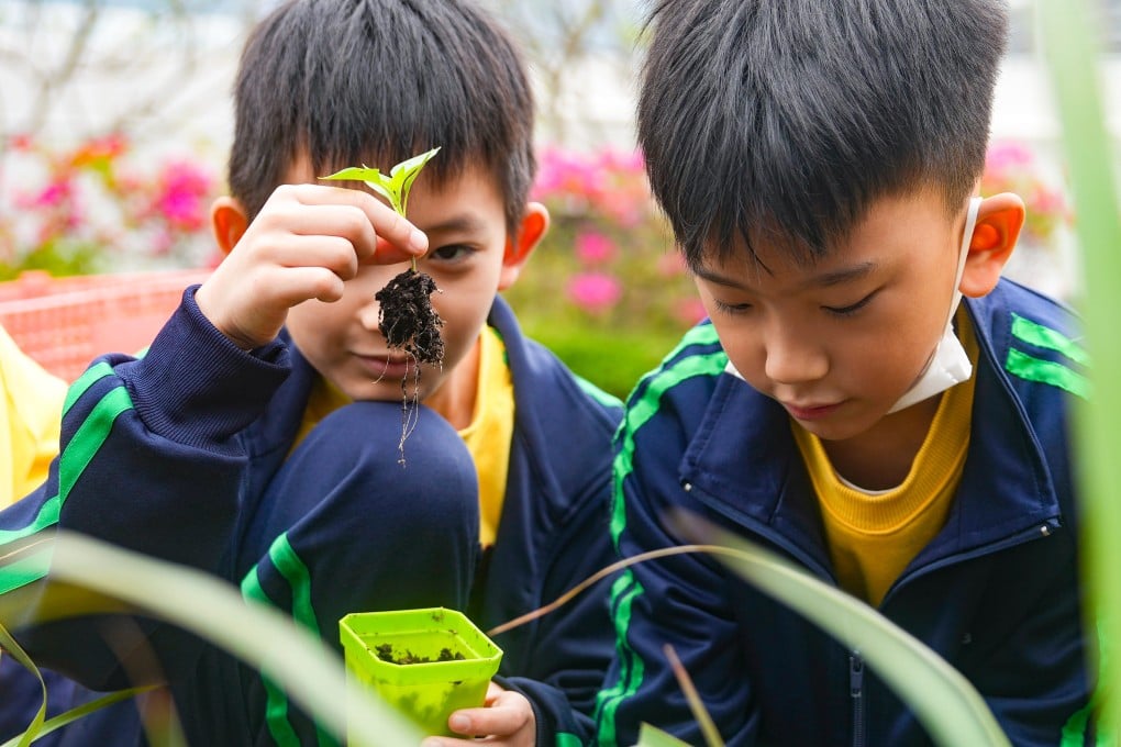 Pupils from Tai Po Baptist Public School learn about farming at CityU. Photo: Sam Tsang