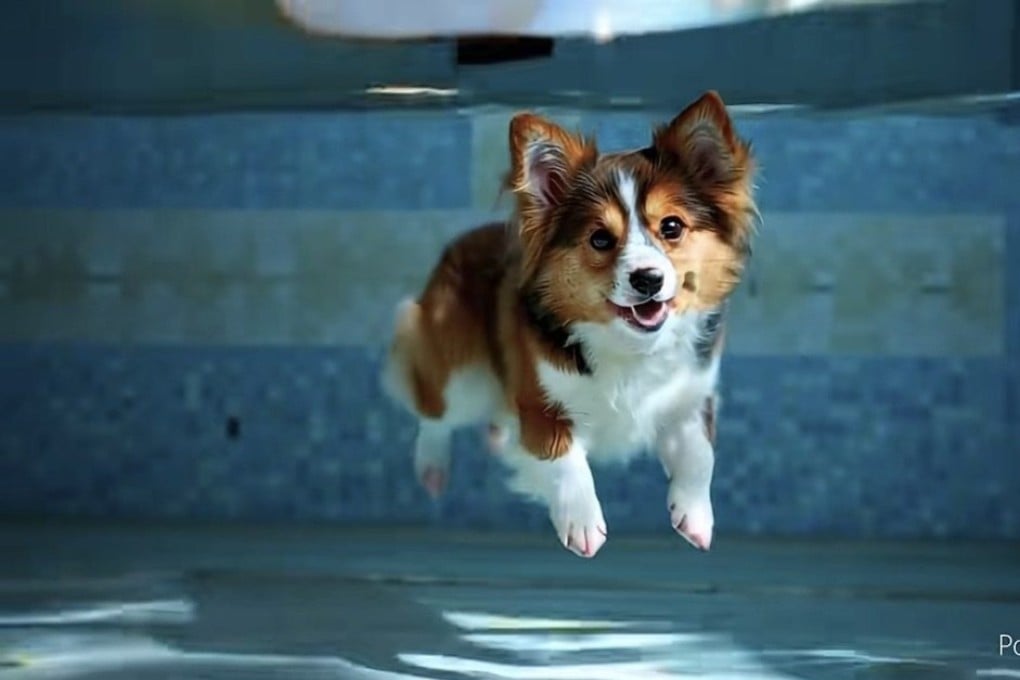 Shengshu Luncurkan Alat AI One-Click untuk Buat Video Profesional Cepat