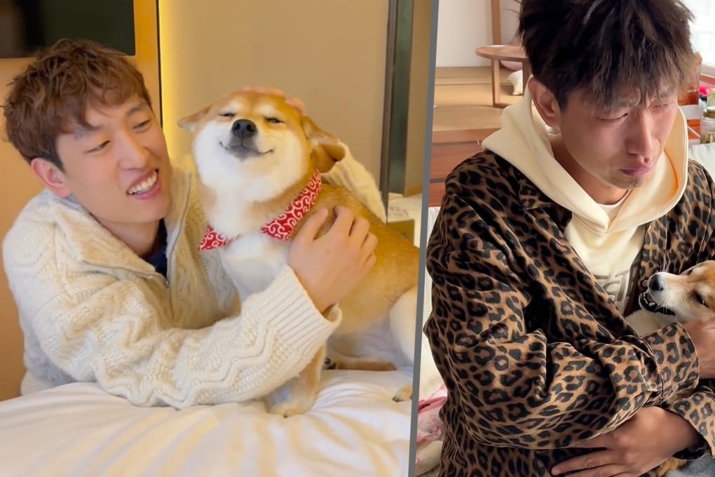 The owner of China’s popular “smiling Shiba Inu,” Peppa, who claimed the dog died from poisoning in a village has faced a backlash for exploiting the canine’s death for views. Photo: SCMP composite/RedNote