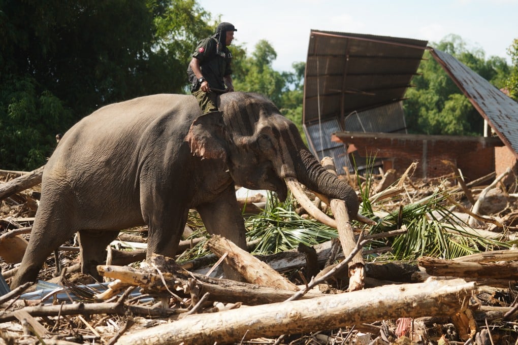 An elephant clearing logs and debris on December 8 in a village affected by flooding in Pidie Jaya, Aceh province, Indonesia. Photo: AP