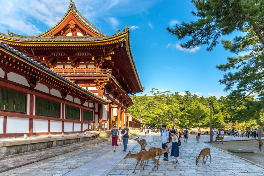 Free-roaming deer mingle with visitors at a temple in Nara. As Japan’s first permanent capital, Nara is home to an array of ancient religious sites. But there is also a modern side to this city on the doorstep of Osaka and Kyoto. Photo: Shutterstock