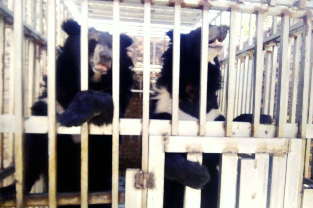 Two bears found caged inside a Cambodian casino were later rescued by Thai marines. Photo: Facebook/DNP1362