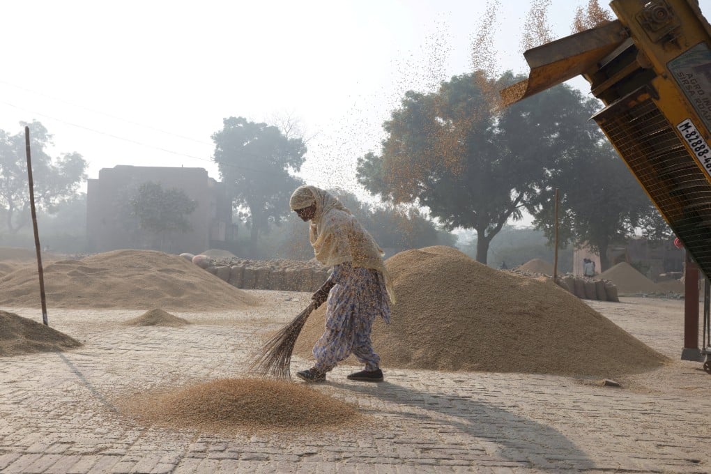A worker gathers rice grain with a broom in a grain market at Mansa in the northern state of Punjab, India, in November. Photo: Reuters