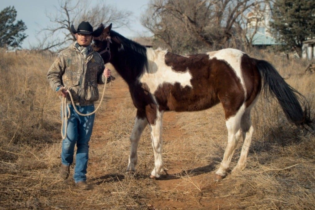 Self-professed Chinese cowboy Bruce Wang Shibo stands with a horse. The Chinese national is one of those rewriting narratives of the American West. Photo: Bruce Wang Shibo