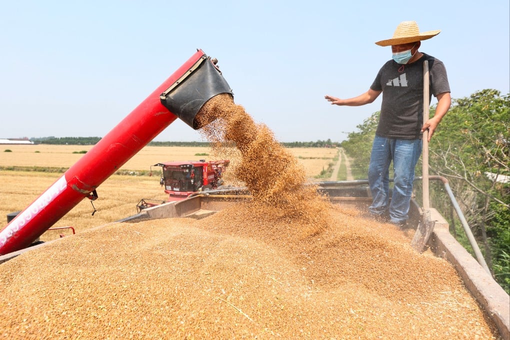 Workers harvest crops in the fields of Sanhe Farm in Xuyu, Jiangsu province, on May 28. Photo: Xinhua