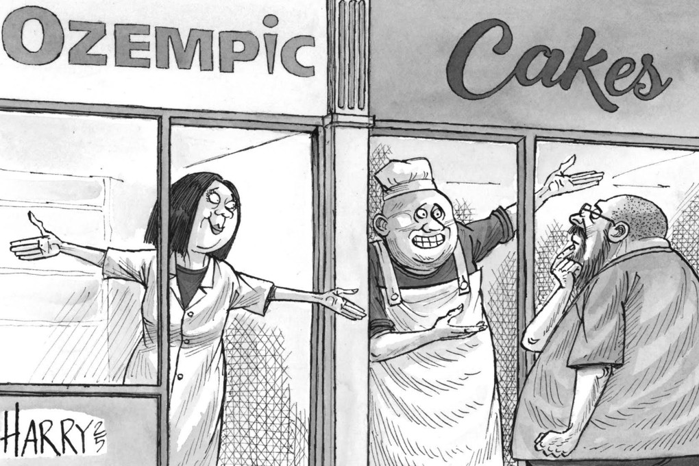 Fire scams, IndiGo woes, Merry Trumpmas: cartoonist Harry
