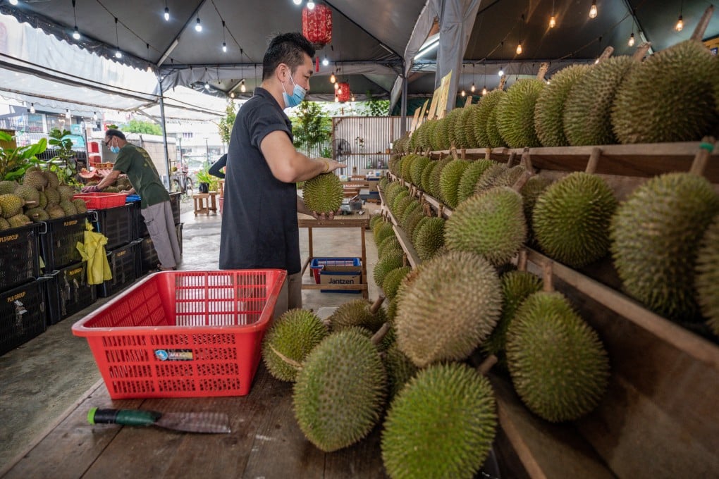 A worker checks a durian at a shop in Kuala Lumpur, Malaysia. Photo: AFP