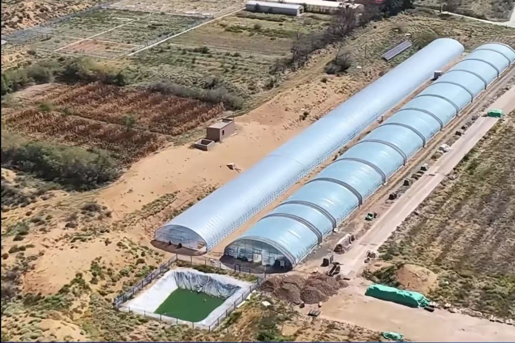 Researchers at Shapotou Desert Experimental Research Station in northwest China’s Ningxia Hui autonomous region have created a technique using cyanobacteria to form a biomass-rich crust over desert sand. Photo: China Science Daily