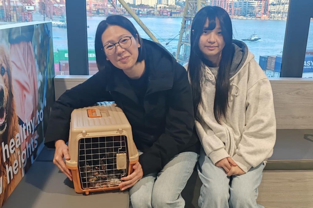 A cat owner is reunited with her pet. Photo: Handout