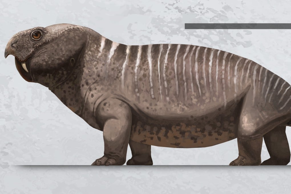 An artist’s rendering of the Dinanomodon guoi, a new species of dicynodont found in China’s Gansu province. Photo: Handout
