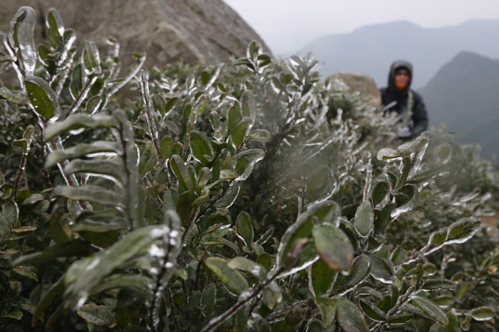 Visitors drawn to Tai Mo Shan to view frost and icicles. Photo: Felix Wong