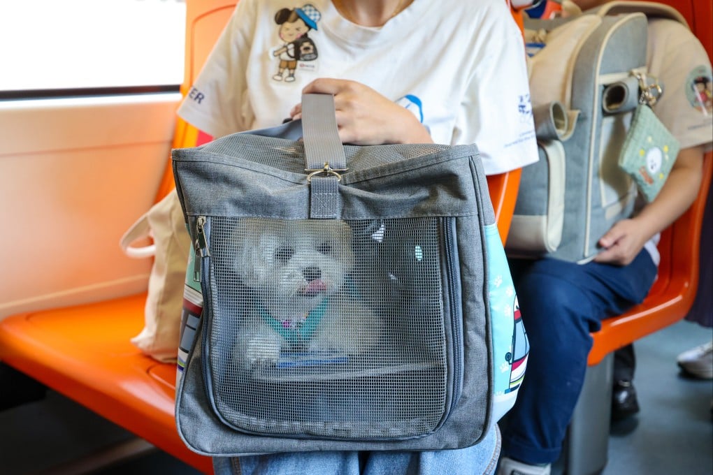 A dog travels on the Light Rail line as part of a scheme introduced last year. Photo: Jelly Tse