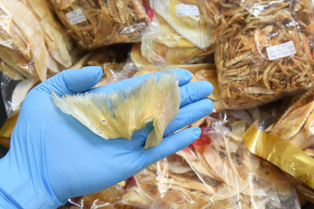 Fins from critically endangered scalloped hammerhead sharks were discovered among the samples analysed in the study. Photo: Handout