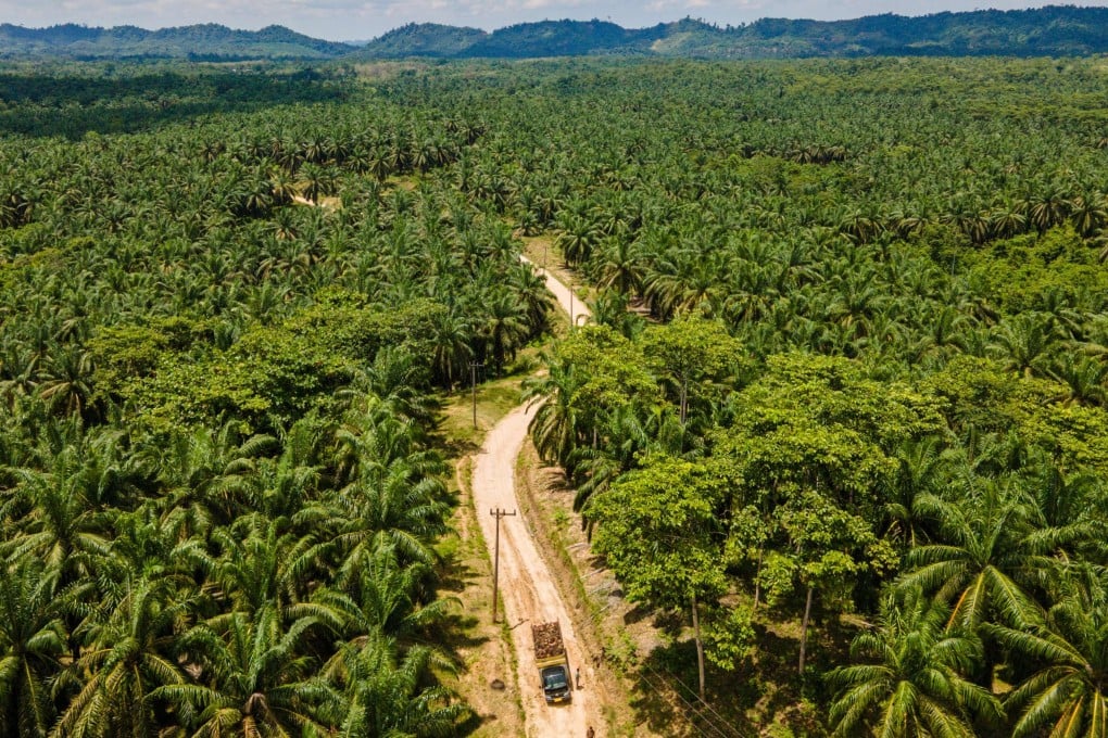 A truck loaded with oil palm drives on an unpaved road at a plantation in Langsa, Aceh province. Photo: AFP