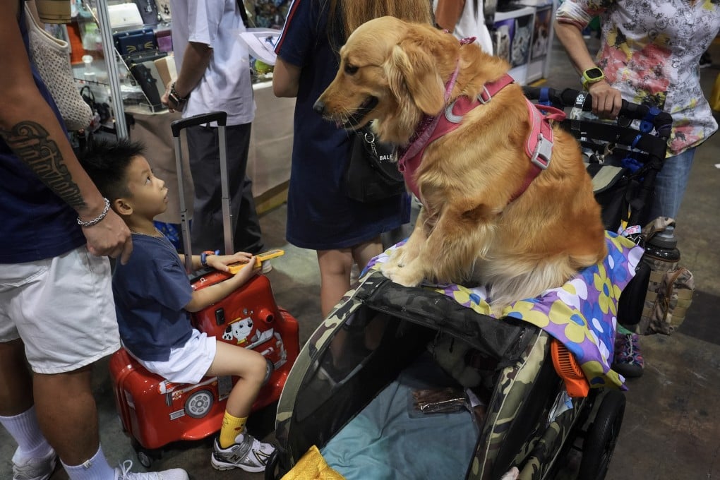 A boy and a dog look at each other as visitors walk to the Premium Pet Supplies Expo held at the Hong Kong Convention and Exhibition Centre in Wan Chai, on June 6. Photo: Elson Li