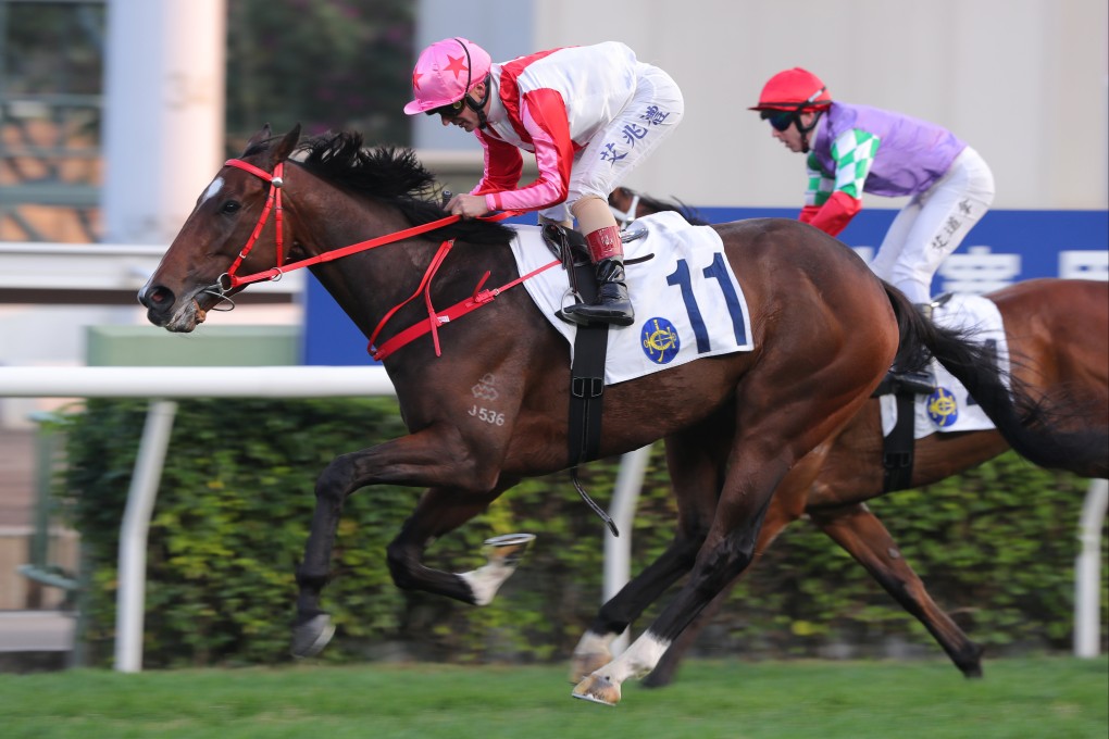 When it comes to naming horses, some breeders and owners get creative by choosing names linked to wealth, luck or health. Photo: Kenneth Chan.