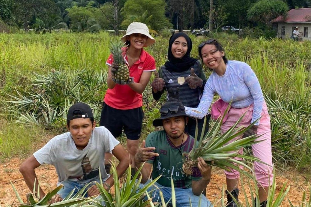 Southeast Asia's young farmers dig in for the future in 'call to return to the land' | South China Morning Post
