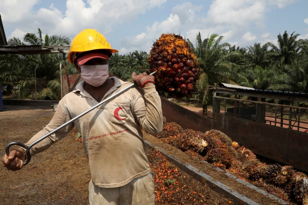 A worker carries a bunch of oil palm fruit at a plantation in Slim River, Malaysia. Malaysians repeatedly referenced palm oil in online jokes responding to a recent US embassy space photo, stressing the country has palm oil rather than crude petroleum. Photo: Reuters
