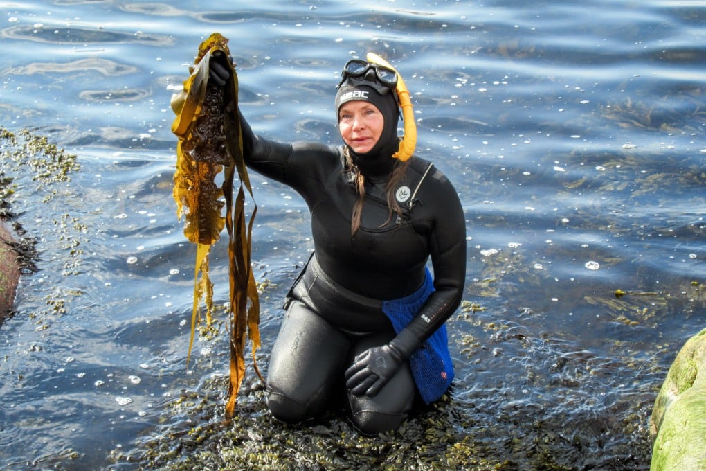 Linnéa Sjögren holds up freshly harvested seaweed in Smögen, Sweden. Sweden’s west coast is a treasure trove of “blue food” – sustainable aquatic produce. Photo: Sabine Glaubitz/dpa-tmn