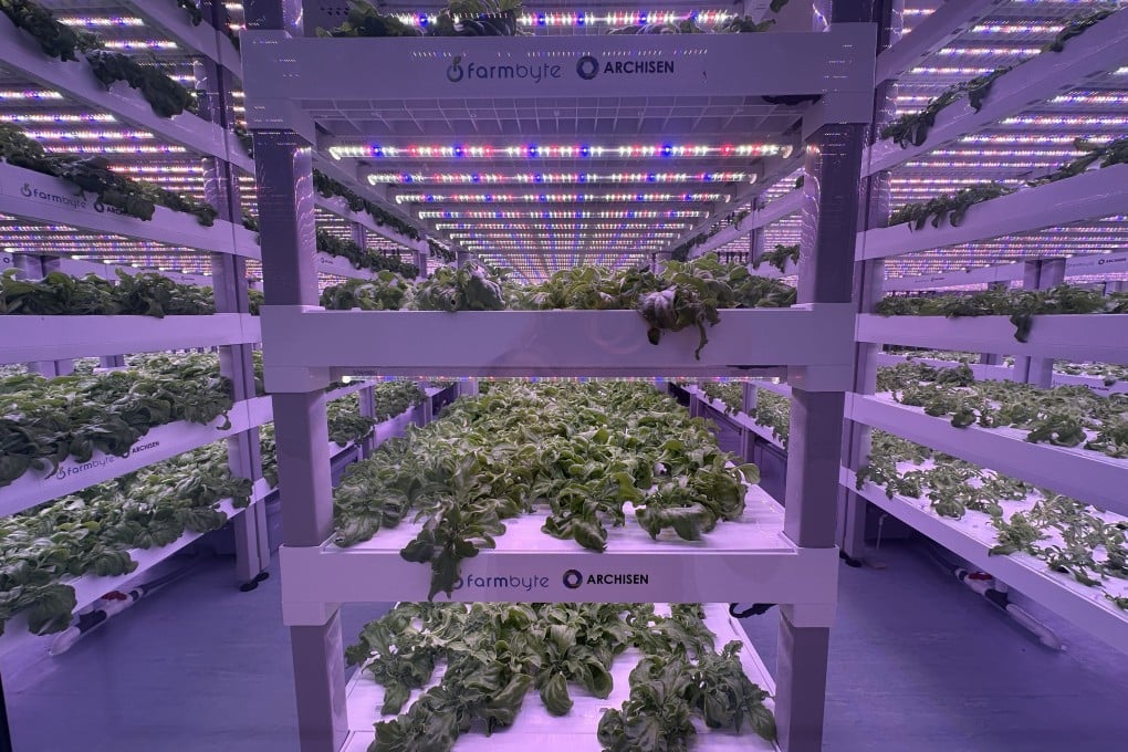 Singaporean urban farming company Archisen is expanding its operations in the Johor-Singapore Special Economic Zone. Photo: Archisen