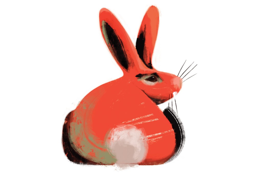 Will the Year of the Horse 2026 be a lucky one for Rabbits? Fortune-teller Tong Pik-ha shares her predictions for wealth, relationships and health. Illustration: Victor Sanjinez