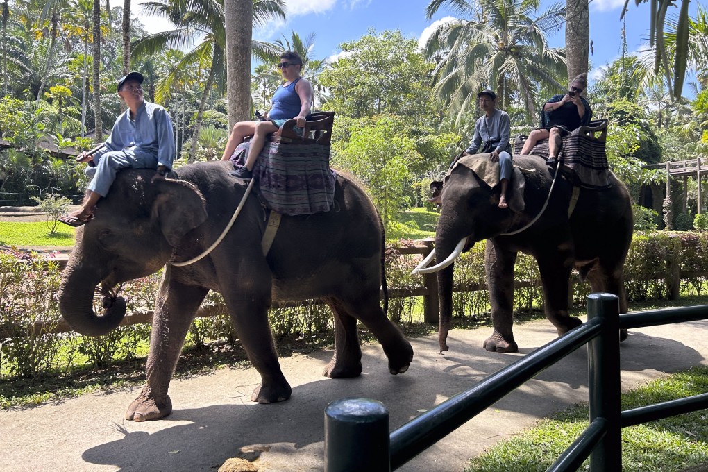 Tourists ride on elephants at Mason’s Elephant Park and Lodge, Bali, Indonesia. Photo: Dave Smith