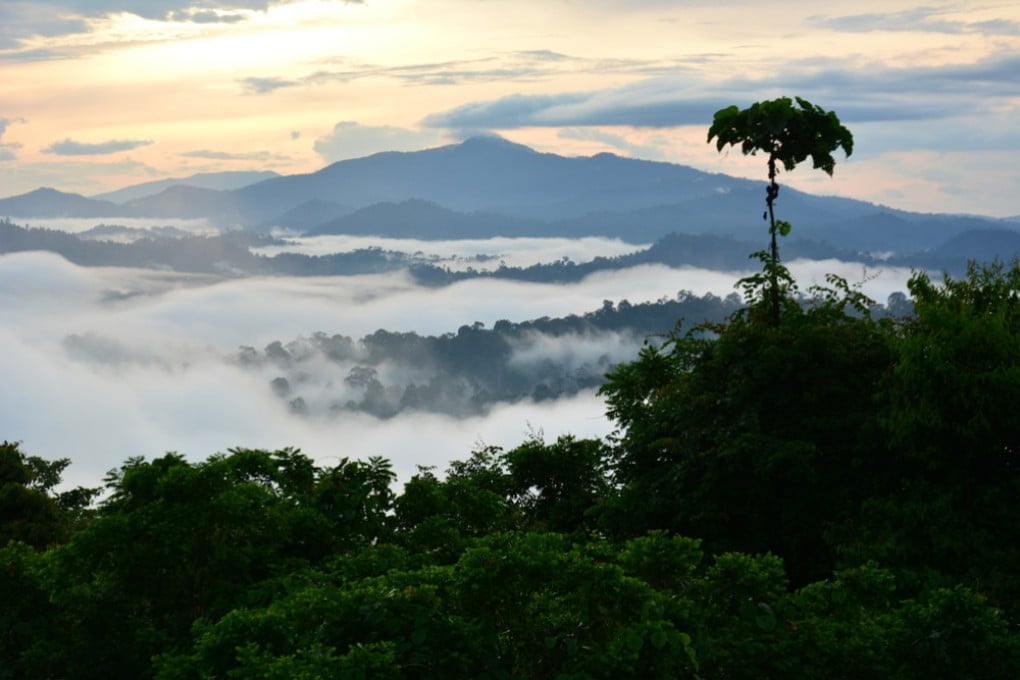 Untouched jungle in Sabah, Malaysian Borneo. Malaysia and Indonesia are holding talks to discuss the Sabah-Kalimantan border issue. Photo: Shutterstock