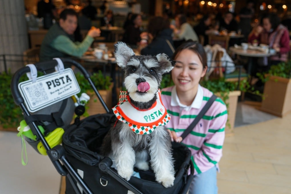 A woman with her dog outside a restaurant in Sha Tin’s New Town Plaza. Photo: Sam Tsang