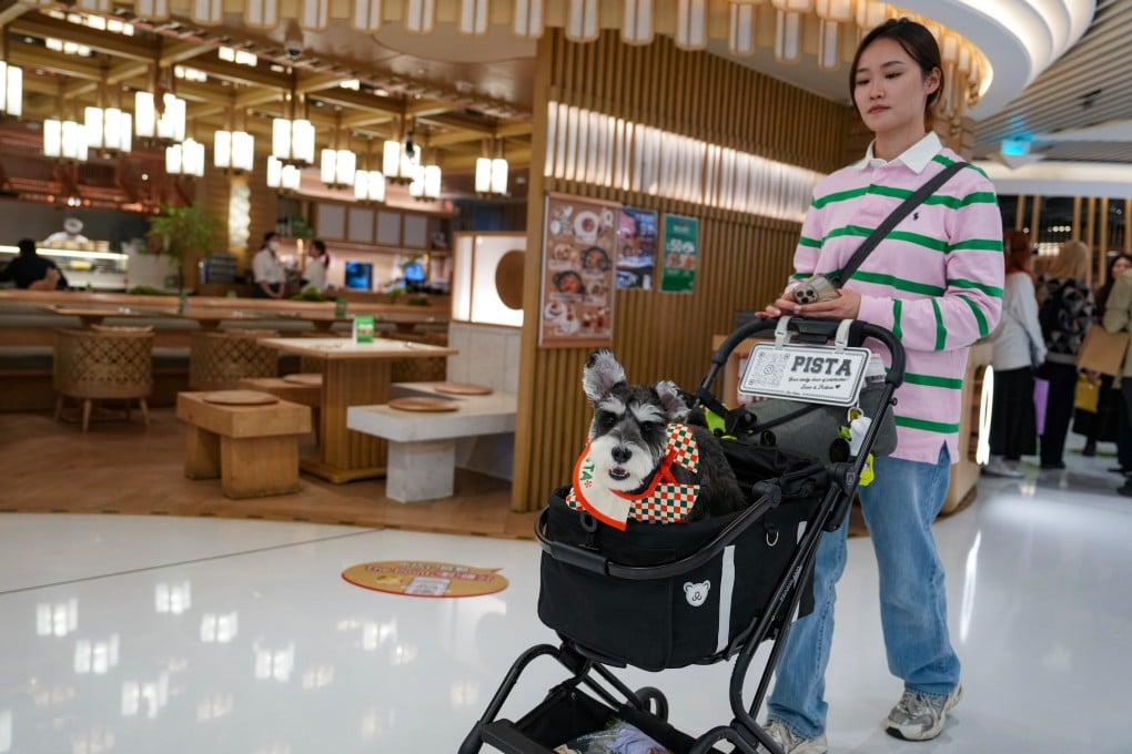 A woman walks with her dog outside a restaurant in New Town Plaza in Hong Kong’s Sha Tin district on February 3. Photo: Sam Tsang
