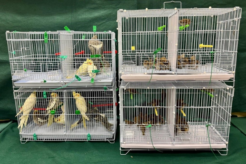 The case is currently under investigation by the Agriculture, Fisheries and Conservation Department. Photo: Handout