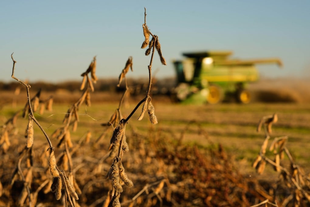 Austin Rohlfing harvests soybeans on his family’s field in Missouri. China is putting strategies in place to reduce its reliance on soybean in animal feed as 80 per cent is sourced from overseas, mostly the US and Brazil. Photo: AP
