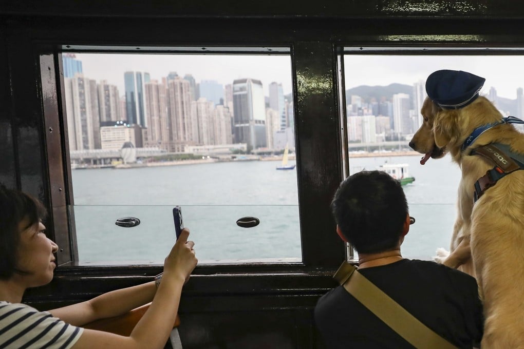 Dogs and their owners take the Star Ferry during a “Shipcation” organised by the Society for the Prevention of Cruelty to Animals in 2023. Photo: Xiaomei Chen